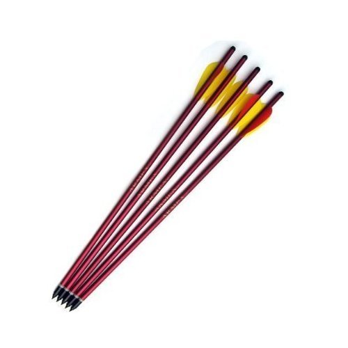 5 Piece 15 " Overall Size Metal Arrows