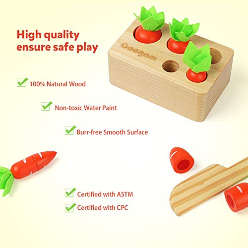 Coogam Baby Carrots Sorting Toy, Wooden Montessori Color Shape Sorter