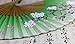 JSSWB Green Handmade Silk Bamboo Hand Fan with Blomming Flowers Painting