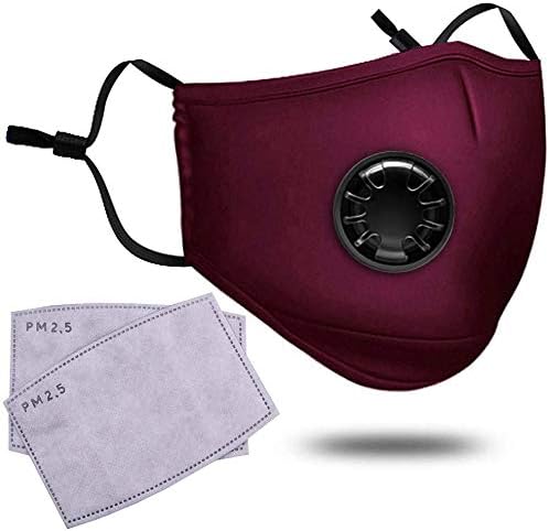 Protective Mask, Bainuojia Respiratory Mask with 2 Replacement Filters, Reusable and Washable Dust Mask(Red)