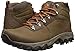 Columbia Men's Newton Ridge Plus II Waterproof Hiking Boot, Breathable, High-Traction Grip