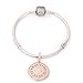 You Are My Sun Rose Gold Sterling Silver Famliy Charm Pendant for Bracelets,Valentine's Day Gifts