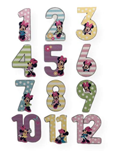 Disney Baby Milestone Month Girls Minnie Mouse Jumbo Newborn to 12 Months First Year Number Set for Taking Pictures Facebook Baby Album Scrapbook Memory Books - Thumbnail 2