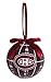 100mm LED Ball Ornament, Montreal Canadiens