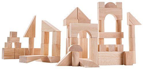 Plan Toys 50 Unit Blocks