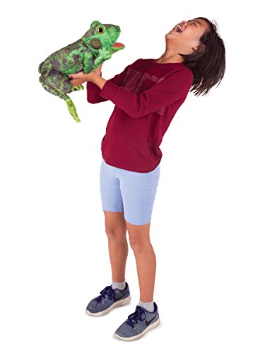 Folkmanis Frog Life Cycle Hand Puppet