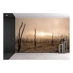 Wasteland with Foggy Sky - Removable Wall Mural | Self-Adhesive Large Wallpaper - 66x96 inches