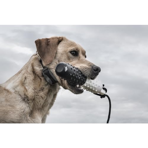 SportDOG Brand FieldTrainer 425X Dog Training Collar 500 Yard Range