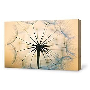 Canvas Wall Art for Living Room,Bedroom Home Artwork Paintings Dandelion Ready to Hang - 12x18 inches