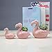 Youfui Ceramic Animal Flowerpot Succulent Plants Container Desk Mini Ornaments (Flamingos Family)