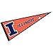 College Flags & Banners Co. Illinois Fighting Illini Pennant Full Size Felt
