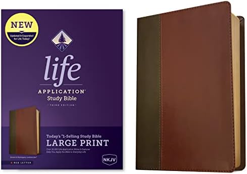 NLT Student Life Application Study Bible, Filament Enabled