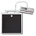 seca 869 - Flat Scale with Cable Remote Display