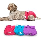 Paw Inspired Washable Reusable Dog Diapers