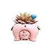 Youfui Adorable Succulent Planter Pig Flower Pot with Drainage Hole - Pencil Brush Holder - Cute Resin Decorative Garden Planter for Indoor Plants, Home Decor Gift