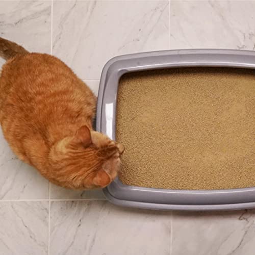 WORLD'S BEST CAT LITTER Multiple Cat Lotus Blossom Scented 15 Pounds on