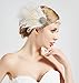 BABEYOND Womens Peacock Headband Womens Crystal Headband for Bride Feather Headband Flapper Headbands 1920s, White, One size