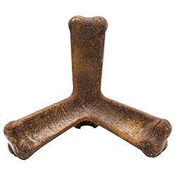 N-Bone Quado Interactive Treat, BBQ