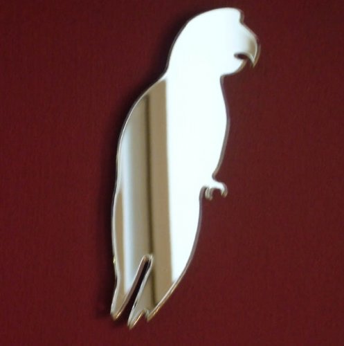Super Cool Creations Parrot Mirror - 62cm x 31cm
