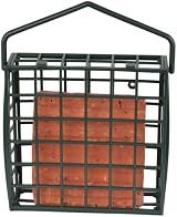 Green Jem Plastic Dual Suet Scraps Wild Bird Feeder Easy Fill Clean view 16