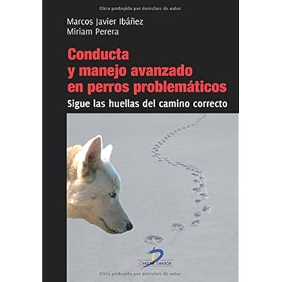 Conducta Y Manejo Avanzado En Perros Problemáticos