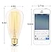 6 Pack Vintage Edison Light Bulbs, 60W E26/E27 Base Dimmable Replacement Light Bulbs for Wall Sconces Lights, Antique Squirrel Cage Lights, Pendant Island Ceiling Chandelier Light Lamps, Amber Warm