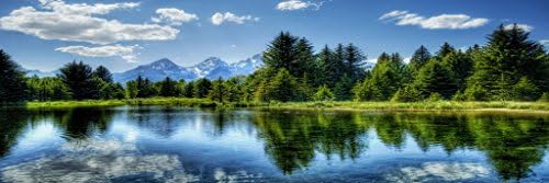 AT6122 Tree Reflection Lake Cloud Mountain Yellowstone Wyoming Teton Range Grand Panorama Printing A Panoramic Photo 12x36"