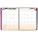 AT-A-GLANCE Weekly / Monthly Planner / Appointment Book 2017, 8-1/2 x 11