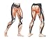 CW-X Women's Stabilyx Joint Support Compression Tight, Black, Large