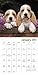 Puppies Mini Wall Calendar (2017)