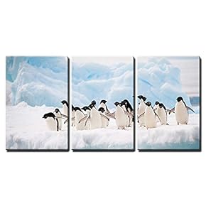 Adelie Penguins Colony on The Iceberg Antarctica x3 Panels
