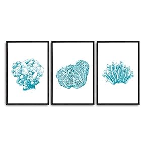 3 Piece Framed Canvas Wall Art Simple Seabed Elements Canvas Prints Home Artwork Decoration for Living Room,Bedroom - 16"x24"x3 Panels