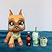 Judylovelps lps Great Dane Mask Custom Tan and Brown Green Snow Eyes Great Dane Dog with lps Accessories Coffee Drinks Cola Kids Gift