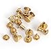 Round Flat Head Chicago Screws Buttons for Leather Crafting, 1/4 Inches (6mm) Repair Screw Post Fastener, Metal Nail Rivet Studs, Gold, 30 Sets, Diameter 5/16 Inches (8mm)
