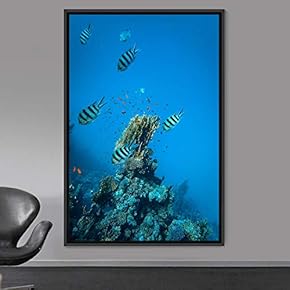 signwin Framed Canvas Wall Art Fish Bedroom Colorful...