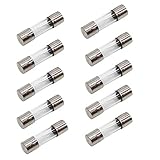 10Pcs 10A Fast Blow Fuse 10 Amp Fast Acting Fuse F10AL 250V Quick Blow Glass Fuse 5x20mm