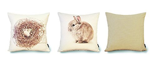 Set of 1 Phantoscope Decorative Throw Pillow Case Cushion Cover Spring Feild 3 Piece