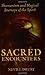 Sacred Encounters: Shamanism and Magical Journeys of the Spirit by