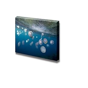 Canvas Prints Wall Art - Group of Light Blue Jellyfish, Red Sea | Modern Wall Decor/Home Decoration Stretched Gallery Canvas Wrap Giclee Print. Ready to Hang - 12" x 18"