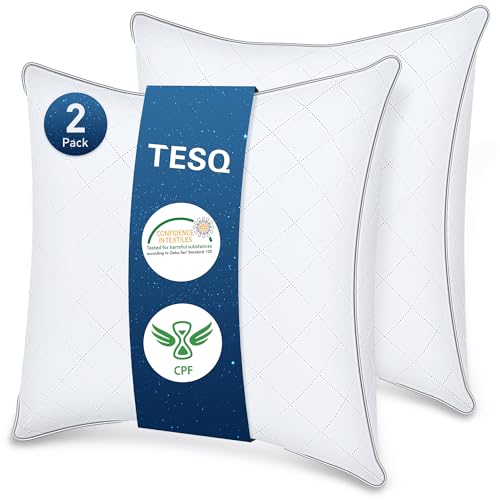 TESQ Set of 2 Luxury Hotel Quality Pillows, 65 x 65 cm, Soft, Breathable and Hypoallergenic, Oeko-TEX Certified, Suitable for All Sleeping Positions