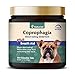 NaturVet – Coprophagia Stool Eating Deterrent Plus Breath Aid – Deters Dogs from Consuming Stool – Enhanced with Breath Freshener, Enzymes & Probiotics – 130 Chewable Tablets