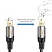 CableCreation 3 Feet Toslink Male to Mini Toslink Male Digital S/PDIF Audio Optical Fiber Cable 24K Gold Plated Compatible Chromecast Audio,iMac,Mac Pro&More,Black & Silver/1M