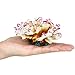 Danmu 1Pc of Polyresin Coral Ornaments, Aquarium Coral Decor, Diamater 4 1/3″ for Fish Tank Aquarium Decoration (Pink and White)thumb 1
