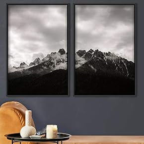signwin 2 Piece Framed Canvas Wall Art Monochromatic...
