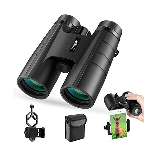 BNISE Ferngläser, Fernglas Kompakt, 10X42 HD, vogelbeobachtung BAK4 Prism FMC, Geeignet für Vogelbeobachtung, Jagd und…