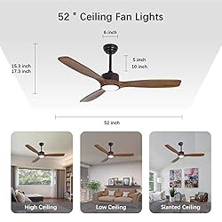Wozzio 52 inch Indoor Outdoor Ceiling Fan with