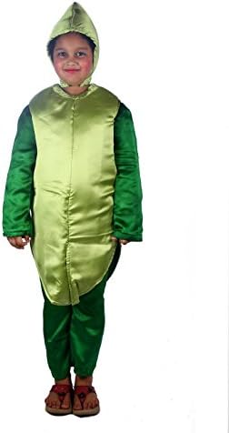 Shree Balaji Dress Big Boys' Chilli Vegetable Fancy Dress Cosplay Costume