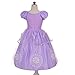 Dressy Daisy Toddler Girls Princess Dress Up Costumes Halloween Fancy Party Dress Silver Trimmed Size 4T to 5T