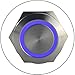 APIELE 16mm Momentary Push Button Switch On Off Stainless Steel with 12V LED Angel Eye Head for 16mm 0.63