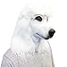 Off the Wall Toys Standard Poodle Mask Dog Halloween Costume Face Mask Kennel Club (White)